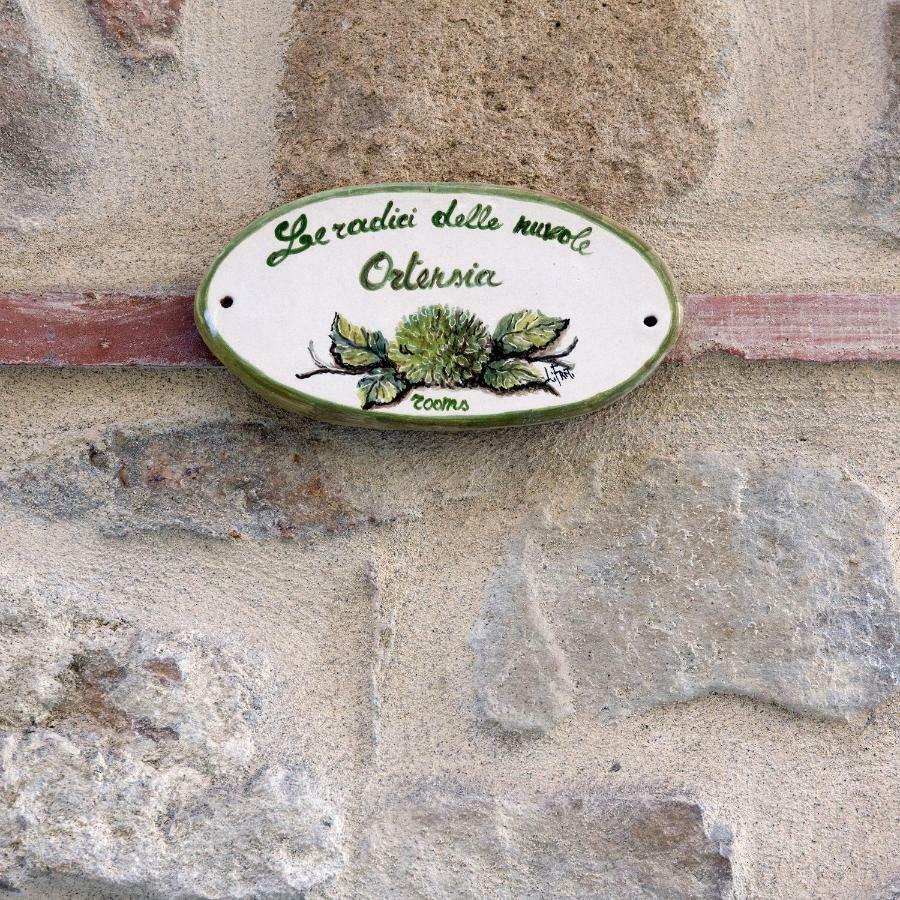Le Radici Delle Nuvole Hotel Cairano Eksteriør billede